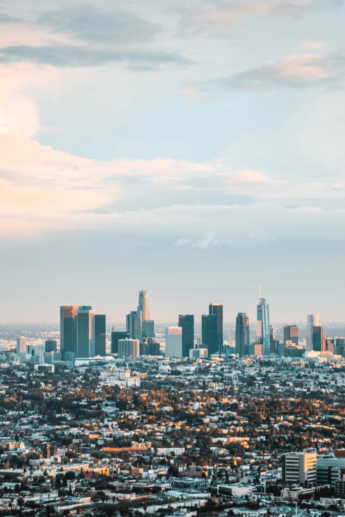 The Los Angeles skyline