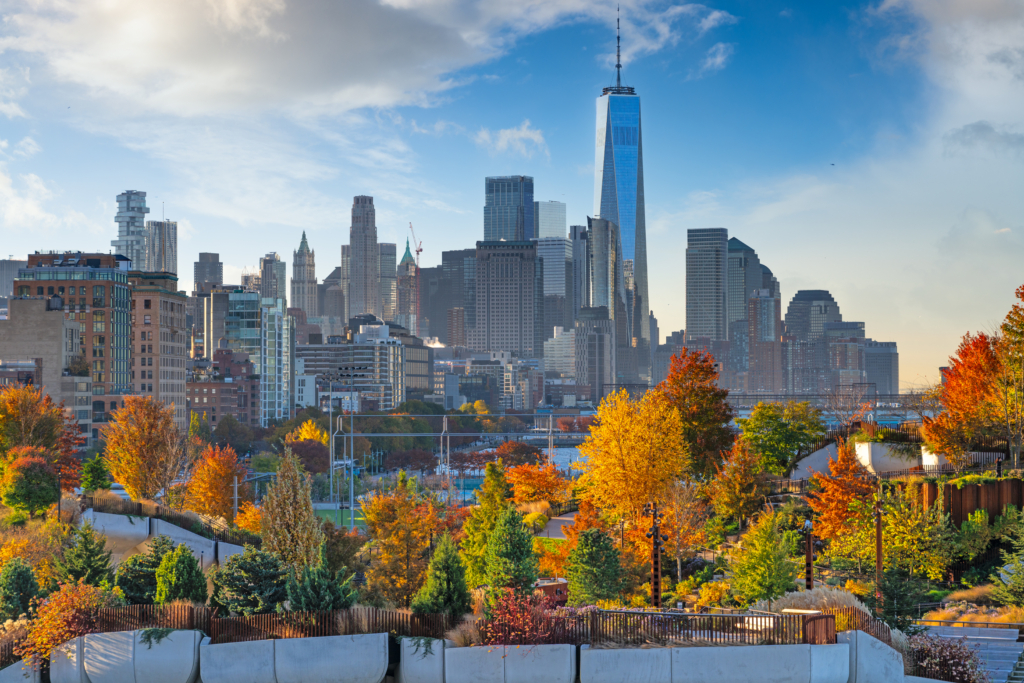 Inside the Executive Job Search: Live Q&A with Lisa Rangel